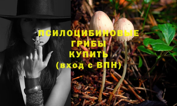 марки nbome Белокуриха