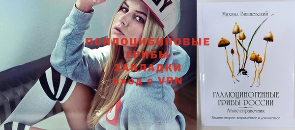 марки nbome Белокуриха