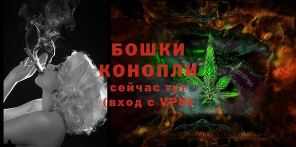 марки nbome Белокуриха