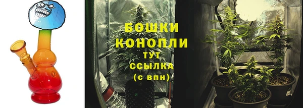 марки nbome Белокуриха