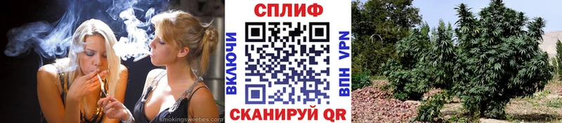 Канабис гибрид  даркнет сайт  Тюмень 